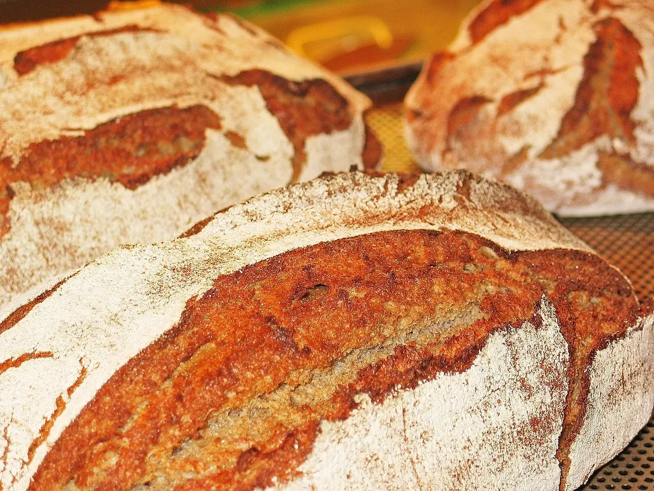 Fra rest til fest: Kreativ restemad der mindsker madspild